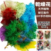 ALL SPLENDID 【A-ONE】DIY天然乾燥花 永生蓬萊松 3色混 綜合乾燥花盒 香薰蠟燭 香氛片材料 天然乾燥花 植物果實 短枝 碎花 A21