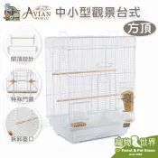 《寵物鳥世界》AVIAN WORLD 中小型觀景台式鸚鵡籠-方形頂│方頂籠 烤漆籠 鳥籠 鸚鵡DA0905 DA0906