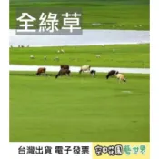 【草皮種子】全綠草 四季青 種子 菜籽 草皮 露營區 綠地 蘇卡達 陸龜 寵物食物 牧草 空中花園藝世界