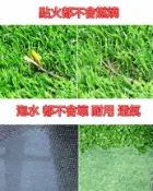 FINDSENSE服飾 人工草皮/人造花藝/皮草/加厚樓梯/塑膠樓梯設計/球場/陽台/室內設計/裝潢草皮 設計師專用 訂做 100*50