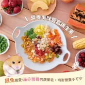 《胖頭龍批發工廠》魔法村 天然果乾 小動物 零食 草餅 零食 磨牙 點心倉鼠 兔子 天竺鼠 龍貓 蜜袋鼯 倉鼠