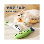 (店+)BEAGLE 現貨-開發票 貓薄荷玩具 貓草玩具 貓薄荷毛絨玩具 寵物玩具 貓草 貓薄荷 貓草玩具 耐咬玩具 貓咪玩具