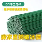 免運💒臺灣熱銷🐬V植物支架B-固定花架植物支撐杆蝴蝶蘭支架爬藤花卉花盆栽金錢樹