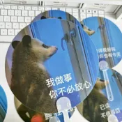 🍀臺灣出貨🍀可愛爆款負鼠表情包夏季小扇子夏季手持拍照扇子網紅降溫扇子禮物