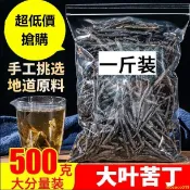 【免運 大份量500g】海南正宗苦丁特級大葉苦丁茶壹級苦丁新茶批發50-1000g非青山綠水coco