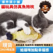 【隔日到貨】貓咪玩具仿真魚抱枕 貓玩具 貓草 貓薄荷 貓咪抱枕 貓草玩具 貓草包 貓草抱枕 逗貓玩具 逗貓