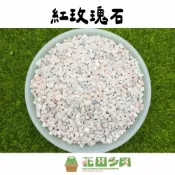 (店+)《花田多肉》🌵【紅玫瑰石】 500ml 介質/鋪面石/彩色石頭/多肉/仙人掌/園藝/盆栽/組盆