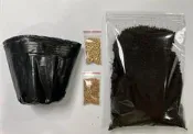 魚福子-貓草DIY種植組合包(大麥草/小麥草)(快速好種)(現貨快速出貨)