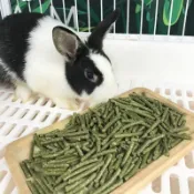 【原生牧草小舖】養殖戶批量採購款 甜菜粒 苜蓿粒 燕麥粒 大豆粒 甜菜碎 大袋裝高含量實惠營養顆粒
