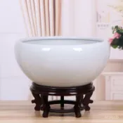 景德鎮陶瓷碗蓮盆 魚缸缸 睡蓮荷花盆 一葉蓮水培銅錢草陽臺養魚盆 景觀盆 風水缸