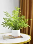 協貿國際日用品生活9館 北歐客廳仿真植物蕨類綠植擺件假花ins風裝飾小盆栽桌面擺設創意