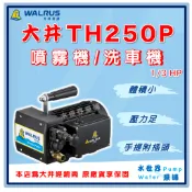 ❗最便宜❗【水世界泵浦】🌸免運🌸 大井 TH250P 噴霧機 洗車機 清洗機 全配 家用自行洗車 園藝澆花 管路試壓抓漏