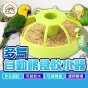 (店+)多孔鳥用食盆 多鳥用水盆 多鳥自動餵食飲水器 分體設計食盆 可水洗鳥用品 鳥類用品 多鳥用餵食器