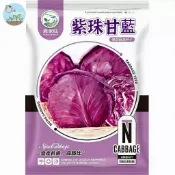 【原廠包裝】紫甘藍種子（Purple Cabbage）300粒裝 紫色高麗菜 羽衣甘藍親戚 沙拉生食專用 營養價值高