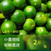 (店+)【樂咖田庄農場】台灣原生種香檬（產季鮮採）香檬鮮果從裡到外營養滿分。皮薄，酸而不嗆，草生栽培無農殘！(2斤/箱)