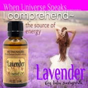 【RETROMASS】French Lavender Essential Oil 真正薰衣草精油