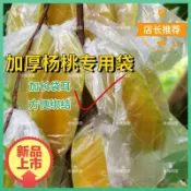 加厚楊桃防蟲水果袋防蟲防鳥促生長保護透明薄膜專用透氣通用套袋