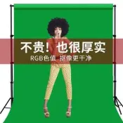 綠幕摳像布加厚專業綠布背景布設備全套間背景牆綠色