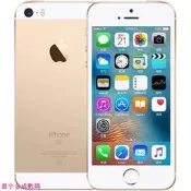 蘋果 iPhone SE 16G 32G 64G 128G 空壓殼+充電線 二手手機