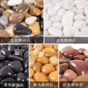 150斤鵝卵石小石頭五彩批發庭院鋪墊魚缸造景雨花石陽臺石頭鋪地-ru5fdlw3cx