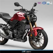 【柏霖】DIMOTIV HONDA CB300R 18-26 蜂巢式水箱護網 水冷護網 散熱 防碎石 鋁合金水網 DMV