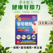 草地狀元 精武金牌 遠紅外線 葡萄糖胺 黃金薑 貼布 伸縮透氣芳香型 一條根 [ 大尺寸10片裝] 金牌 金門一條根 膠