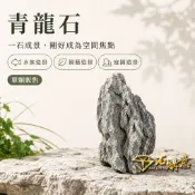 🔸青龍石🔸單位/1顆💎石購意✨水族首選✨ 石頭 石 自然石 天然洞石 魚缸造景 水族箱裝飾 園藝 造景 黑奇石 英石