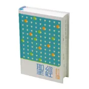 【中文聖經和合本2010】學生本 神版 輕便型橫排 硬面白邊 RCUH53A