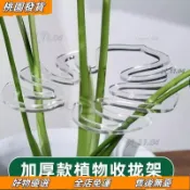 🚋壹灣出貨🔥龜背竹支撐桿花支撐架枝幹收攏架植物防倒伏支架綠植固定塑料繩子 伏春雨支架 金錢樹固定器 花卉支撐架 植物