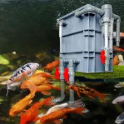 魚池 水循環過濾周轉箱 魚缸過濾器 過濾盒 滴流盒糞便收集器三合一 烏龜過濾 烏龜缸 三合一淨水循環過濾器 烏龜過濾器