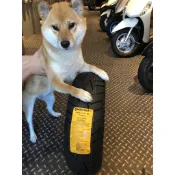 Continental德國馬牌輪胎 馬牌 小馬胎 150/70-13 ★朝幸機車行★ SMAX FORCE 含裝平衡除臘