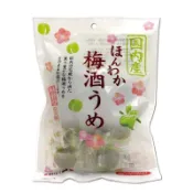 【附發票】【團購】效期26.12.05 熱銷 日本 野澤 梅酒梅 200g 梅酒 酒梅 梅子 脆梅 開胃