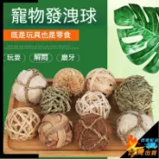 【台灣出貨】兔子草球 磨牙手編玩具 小寵玩具 提摩西苜蓿草編制 磨牙耐啃咬 豚鼠荷 蘭豬 健齒玩具 啃咬玩具 寵物球