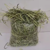 【寵物牧草】老幼動物皆宜牧草 過篩甜小麥草燕麥草苜蓿提摩西一割二割百慕達全面照顧荷蘭豬天竺鼠豚鼠兔子龍貓牛羊馬陸龜全齡段
