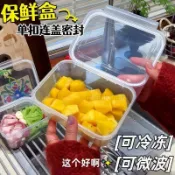 【桃園出貨】便攜式食品級保鮮盒冰箱水果蔬菜收納盒大容量冷凍密封防潮保鮮碗dc96