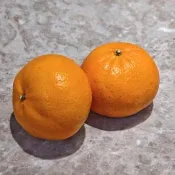【舒果SoFresh】澳洲茂谷柑 (18顆/約3KG/箱)
