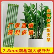 【台灣💨出貨】金錢樹蝴蝶蘭支架蔬菜瓜果爬藤植物立柱撐杆園藝盆栽花卉固定架子