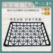 【欣榮二館免運快速出貨】米字端盤 (大) 超硬質不晃動 整理籃 收納盤 植字端盤 可搭配大水盤