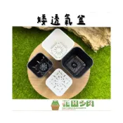 (店+)《花田多肉》🌵【矮透氣盆】2吋盆、3吋盆 盆器/園藝/資材/多肉植物/仙人掌