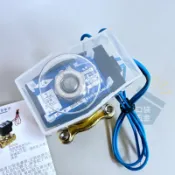 口袋五金｜台灣製｜常閉型｜ LS 流體控制器 電磁閥 110V~220V 水用園藝灌溉 1/2 3/4 1“