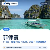 【eSIM】 菲律賓上網 【1-3天】吃到飽方案 手機上網 免插拔卡 穩定網路 快速上網 方便快速