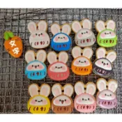 鴻兔大展～福神兔寶寶，兔寶抱紅蘿蔔收涎餅乾（可接急單！！！1組12色，送紅蘿蔔一片）