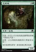 【ＣＭ】 異月傳奇 迅網蛛_Swift Spinner（EMN-G-C173） 