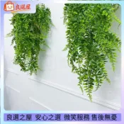 🌾仿真花 仿真假植物 蕨類人造植物 仿真假植物 波斯草藤條 仿真吊掛 小盆栽室內植物假蕨類 園藝裝飾 拍照道具 拍照佈