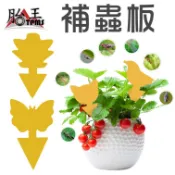 誘蟲板 黏蟲板 植物防蟲器