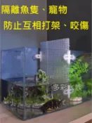 多彩雲 水族⛅隔板吸盤《隔離板吸盤 白色 _ 黑色 》花羅漢 短雕 螯蝦 育種 夾扣吸盤 夾式吸盤 一缸可分隔多格