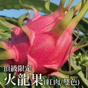 【十翼饌選果】頂級限定 雙色火龍果(約5-6粒/5斤)X1箱