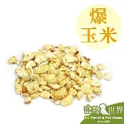 藍亞仕 爆玉米/爆米花 (分裝包)100g │鳥點心 鸚鵡零嘴 寵物鼠 兔子 蜜袋鼯皆可食用 CC073