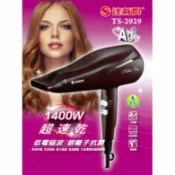 大象生活館【達新牌 1400W專業速乾吹風機】 抗菌銀離子/低電磁波/超速乾/抗菌機身TS-2929