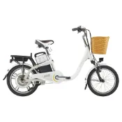 三重禾昇自行車 捷安特 Momentum EA102 電動輔助自行車 電輔車